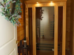 Skin-concepts-esthetics-and-wellness-windham-ny-infrared-sauna