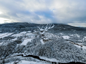 girl snowboarding in woods