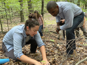 agroforestry-resource-center-acra-ny