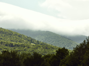 northern-catskills-four-season-lodging-escape-close-to-mountain