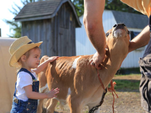 Hull-O-Farms-Great-Northern-Catskills-Family-Friendly-Farm-Stay
