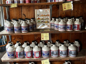 Maple-hill-farms-prattsville-ny