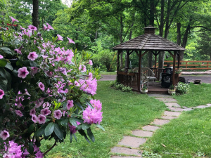 Shinglekill Falls b&b - Purling