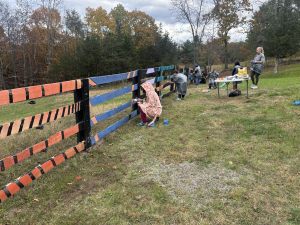 Skiwampus-sanctuary-art-farm-east-durham-ny