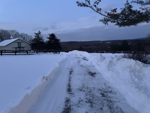 Skiwampus-sanctuary-art-farm-east-durham-ny