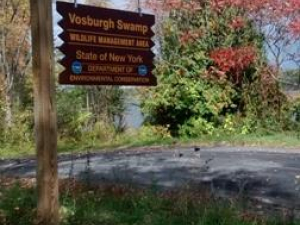 Vosburgh-wildlife-management-area-great-northern-catskills-bird-watching-and-hiking