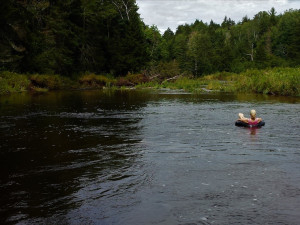 Saenger-Outdoors-Great-Northern-Catskills-White-tailed-deer-Guided-trips-for-families