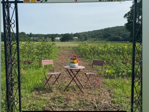 stoneledge-farm-leeds-ny