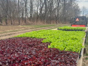 stoneledge-farm-leeds-ny