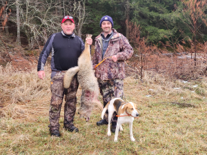 Durham-valley-guide-services-licensed-cayote-hunting-guide-Great-Northern-catskills