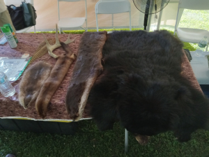 Greene-county-federation-of-sportsmen-youth-fishing-derby-Great-northern-catskills