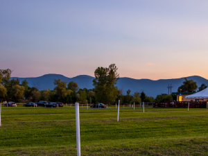Greenville Drive-in field-credit-beth-schneck-photography-summer