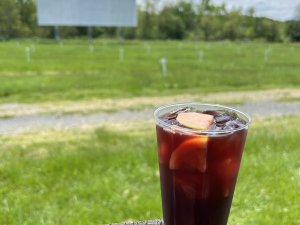Greenville Drive-in summer