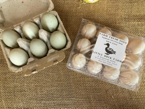 little-duck-farm-greenville-ny