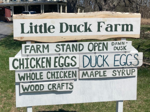 little-duck-farm-greenville-ny