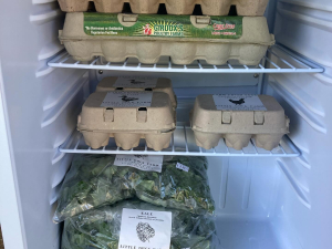 little-duck-farm-greenville-ny