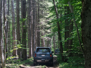 great-northern-catskills-off-road-activities-hunter-mountain-NORA-4x4-rides