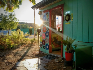 Boom-and-Bloom-Records-East-Durham-ny
