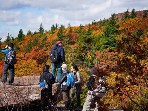 Best-northern-catskills-summer-hikes-sunset-rock-trail-north-south-lake
