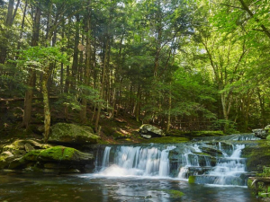 northern-catskills-private-hunting-camping-glamping-saenger-outdoors-acra-new-york