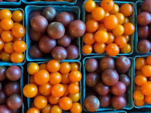 Six-Hands-Farm-Store-Catskill-NY