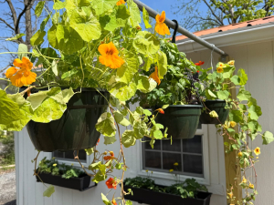 Six-Hands-Farm-Store-Catskill-NY