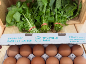 Six-Hands-Farm-Store-Catskill-NY