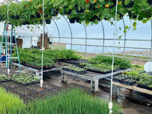 Six-Hands-Farm-Store-Catskill-NY