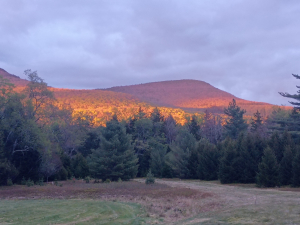 northern-catskills-private-hunting-camping-glamping-pet-friendly-saenger-outdoors-acra-new-york