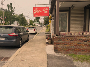 The-Paradise-Inn-antiques-collectibles-shop-Cairo-ny