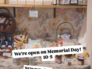 The-Paradise-Inn-antiques-collectibles-shop-Cairo-ny