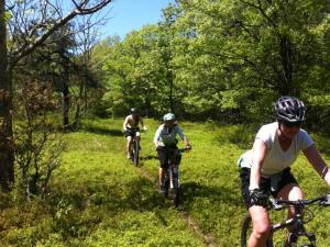 Round Top Trail Network