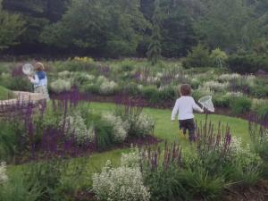 kids playing at the Mountain Top Arboretum