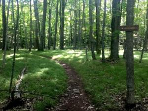Elm Ridge Trail System
