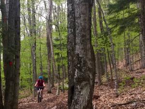 Elm Ridge Trail System