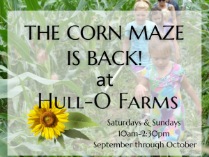corn maze ad