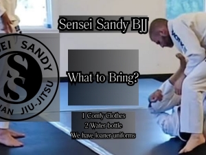 Brazilian Jiu-Jitsu
