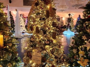 Festival of Trees - The Fortnightly Club