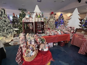 Festival of Trees - The Fortnightly Club
