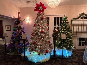 Festival of Trees - The Fortnightly Club