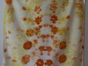Sun Drawn - Natural Dye Workshop