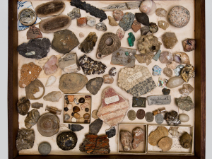Thomas-Cole's-Mineral-Collection-thomas-cole-historic-site-catskill-ny
