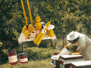 Catskills-First-Friday