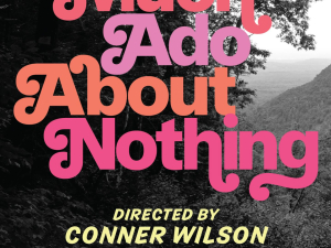 Much-Ado-About-Nothing-Catskill-Mountain-Shakespeare-Hunter-ny