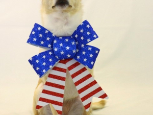 Rev-250-Greene-County-America-250-Celebration