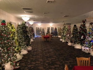 Festival of Trees - The Fortnightly Club