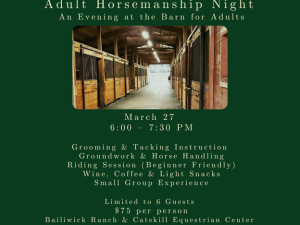 Adult-horsemanship-night-bailiwick