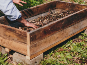 Air_Prune_Raised_Beds