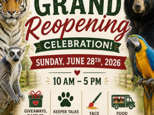 Bailiwick-zoo-animal-park-reopening-catskill-ny
