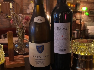 Chemistry wine bar Catskill NY party